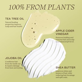 Ingreendients Vegan Shampoo and Conditioner Sulfate Free with Organic Ingredients, Apple Cider Vinegar and Tea Tree Oil - Color Safe, Paraben Free, Gluten Free, Silicone Free, pH Balanced
