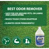 URINE-B-GONE-OD | Turf & Outdoor Urine Enzyme Odor Eliminator |