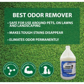 URINE-B-GONE-OD | Turf & Outdoor Urine Enzyme Odor Eliminator | Highest Concentrate 200 Billion Enzymes | Completely Eliminates Odors at the Source | Ideal for Artificial Lawns (128 oz)