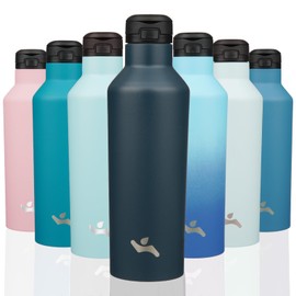 Insulated Water Bottle with Straw,25 OZ Double Wall Vacuum Stainless Steel Water Flask with 2 Lids,Navy Blue