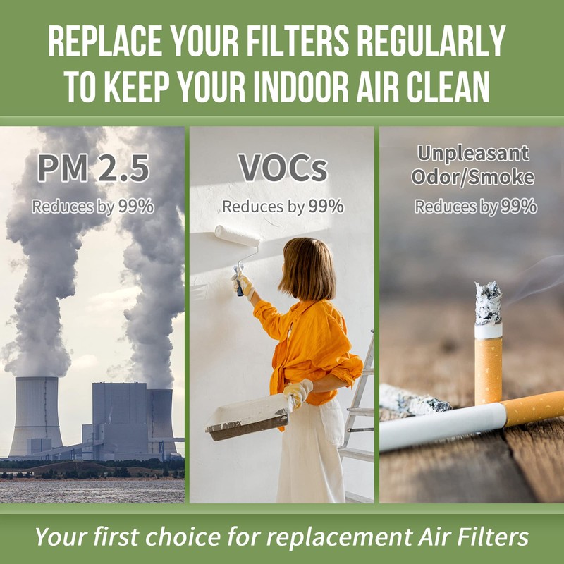 AP-B102 Replacement Filter Compatible with Alexapure Breeze Air Pu-rifier AP-B102