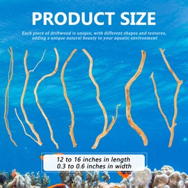 Solsew 250g Natural Driftwood for Aquarium 12''-16'' Reptile Branches Terrarium Wood Long Driftwood for Aquarium Assorted Shapes Natural Decor