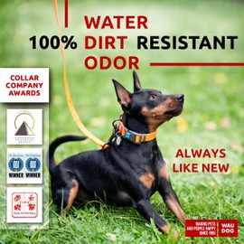 WAUDOG Waterproof Dog Collar - Adjustable Dog Collar for Large Dogs, Small and Medium Dogs - Breakaway Dog Collar Waterproof with Plastic Buckle and QR Dog Tag - Boy & Girl Dog Collars (Orange)