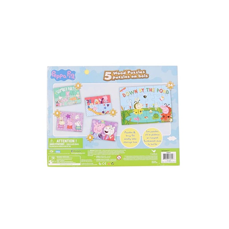 5 Pig Puzzles - with Wooden Storage Box