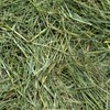 Rabbit Hole Hay - Ultra Premium Mountain Grass for Small