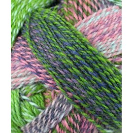 Schoppel Wolle - Zauberball Crazy Knitting Yarn - Green/ Pink/ Mint (# 2170)