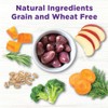 Wellness Bowl Boosters Digestive Health Dog Food Topper
