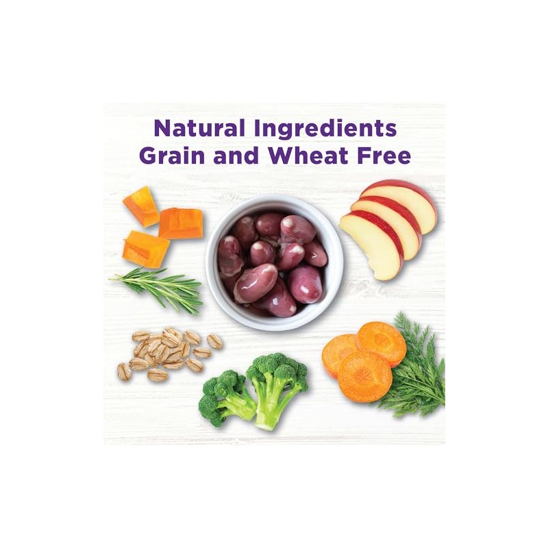 Wellness Bowl Boosters Digestive Health Dog Food Topper