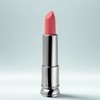 Labiotte Airy Blur Lipstick, RS01 Misty Rose, 1 piece / 라비오뜨 에어리 블러 립스틱, RS01 미스티 로즈, 1개