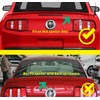 NARPES Only Wickerbill Extension for 2010-14 Ford Mustang Accessories