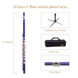 Student C Flute 16 Closed Hole C Flute with Carrying Case Stand Gloves Cleaning Cloth and More(Purple)