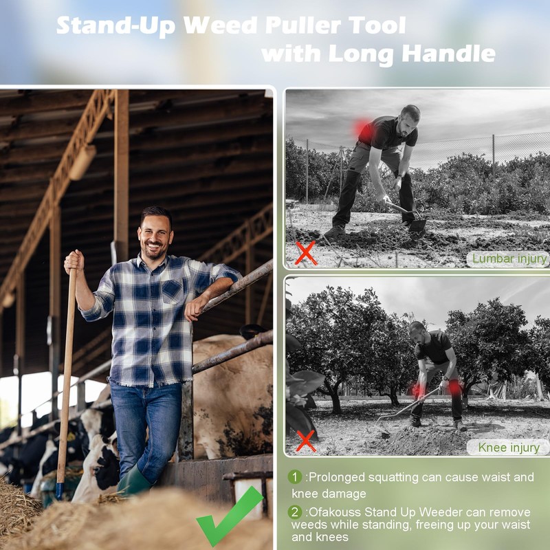 Ofakouss Weeder - Stand Up Weeder and Weed Puller ，Metal