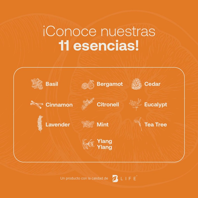 Aceite Esencial con Ingredientes Puros y Naturales, Aromalogía de 50