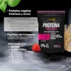 BIOSUPL Protena Vegetal adicionada con Colgeno Hidrolizado,Magnesio y Vitaminas, Sabor