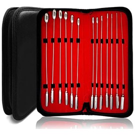 AAProTools Bakes Sounds 13 Pcs Set All Brass Chrome Plated for Students' Educational Purposes.