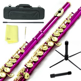 Sky Hot Pink Lacquer Gold Keys Closed Hole C Flute with 1 Year Manufacturer Warranty, with Lightweight Case, Cleaning Rod, Cloth, Joint Grease and Screw Driver