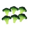 Speed mao Realistic Broccoli Food Sample Model Set of 6