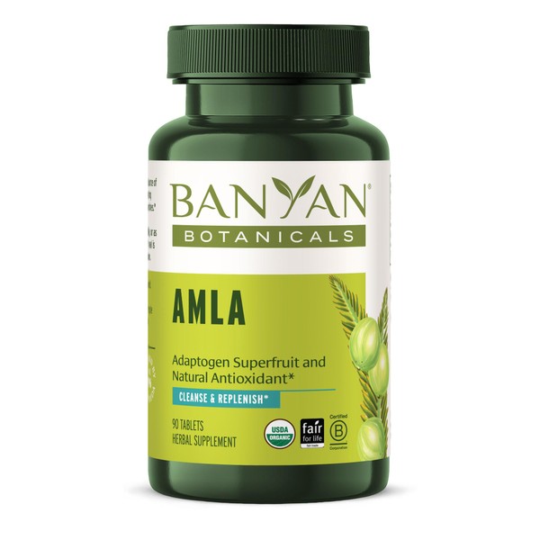 Banyan Botanicals Amla (Amalaki) Tablets – Organic Emblica Officinalis – Natural Source of Vitamin C and Antioxidants – Supports Digestion and Cleansing* – 90 Tablets – Non GMO Sustainably Sourced