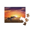 puzzleYOU: Jigsaw Puzzle 48 Piece "Jumping Dolphins: Sea Life at