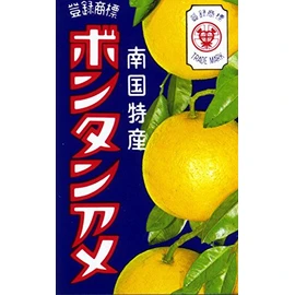 Seika Foods Bontan Ame, 10 Tablets x 10 Boxes