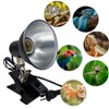 Reptile Heat Lamp Clamp Adjustable Habitat Lighting Fixture for Tortoises