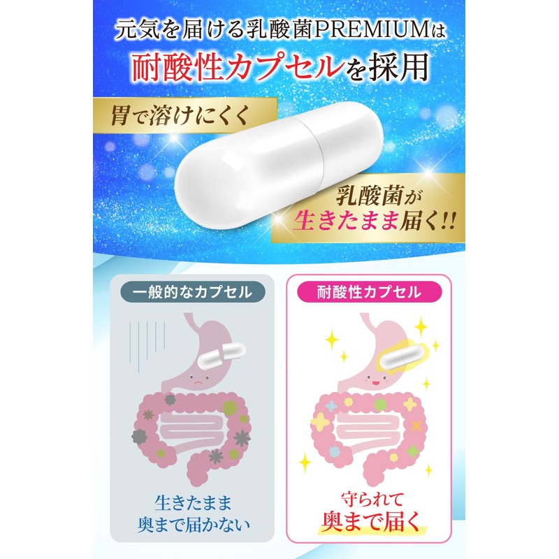 元気を届ける乳酸菌＆ビフィズス菌 PREMIUM 乳酸菌 17種類 乳酸菌 6種類 ビフィズス菌 ６兆個の菌 酪酸菌 イヌリン