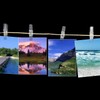 LOMIMOS 100Pcs Mini Clear Photo Clips,Mini Clothespins Transparent Plastic Clear