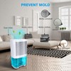 Levoair Dehumidifier 68oz(2000ml) Small Dehumidifier with Drain Hose for Up