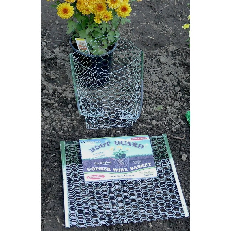 Digger's Gopher Guard, 1 gallon Gopher Baskets, Protect your plants,