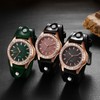 Watch Men Women Seiko Automatic Watch : Waterproof Leather Watch