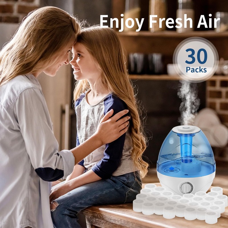30-Pack Top Fill Humidifier Replacement Filter Compatible with LEVOIT Humidifiers