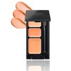 ETVOS Mineral Concealer Palette SPF36 PA+++ 3.1g #Pink Beige (Concealer,