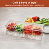 Estilo 4 Section Condiment on Ice, Clear (1-(Pack))