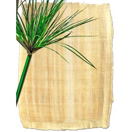 Forum Traiani Papyrus Sheet 21 x 16 cm, Natural Edge, Real Papyri, Handmade Papyrus Papyrus Papyrus Roll from Egypt, Teaching Material History Natural Product