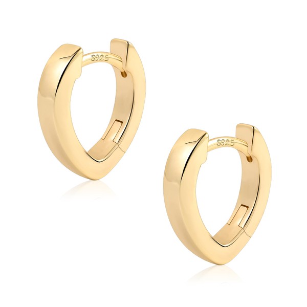 ALEXCRAFT Gold Small Hoop Earrings for Women Hypoallergenic 14K Goldplated
