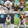 Gooby Comfort X Step in Lite Dog Harness - Choke
