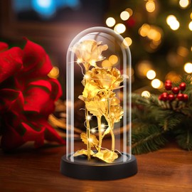 Tayfeim Glass Rose Flower for Women, Birthday Gifts for Women,Rose Flower Gifts for Women,Gold Light Up Rose in A Glass Dome,Rose Gifts for Mom Her Christmas, Anniversary, Wedding, Valentines