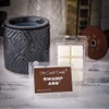 Swamp Ass- Horrible Smelling Nasty Scented Melt- Maximum Scent Wax