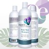 Organic Excellence Mint Shampoo, 16 Ounce