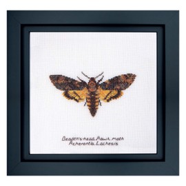 Thea Gouverneur - Counted Cross Stitch Kit - Death's-Head Hawk Moth - Aida - 16 Count - Embroidery Kit for Adults - DMC Embroidery Threads and Other Cross Stitch Supplies Included - 563A