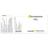 Anastore - Glucosamine HCL - 500 mg / 240 capsules