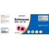 Nutricost Echinacea 800mg, 240 Capsules - Vegetarian Caps, Non GMO,