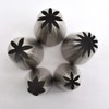 Tumtanm 5 Pack Extra Large Piping Nozzles, 1B 1C 1E