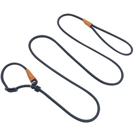Boswany 6ft Small Slip Lead Dog Training Leash, 1/4-In Lightweight Rope Slip Leash, No-Pull Cute Leashes for Medium Small Dogs Puppy Pets (Black, 1/4" x 6ft)