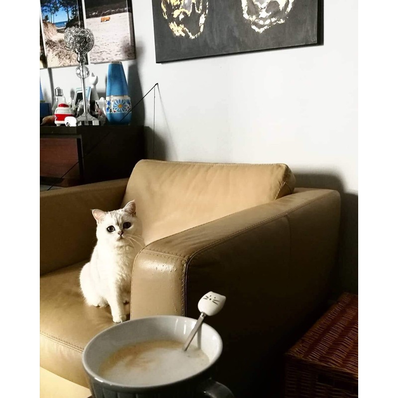 AYOMI Kaffee- bzw. Teelöffel aus Edelstahl mit Katzenköpfen, 4-teilig, feinpoliert