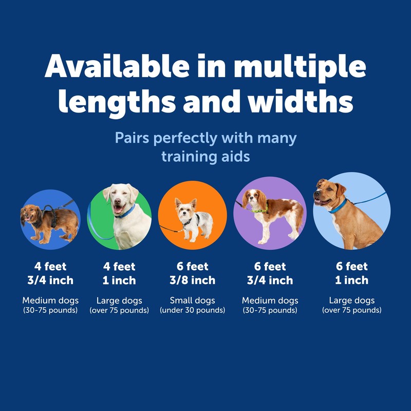 PetSafe Nylon Leash - Strong Nylon for Everyday Walks -