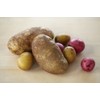 IMUSA USA Easy to Use Manual Chef Vegetable and Fruit