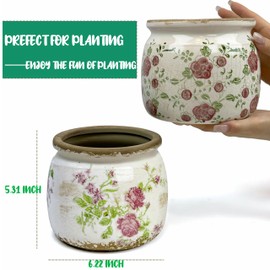 Dosayes Vintage Ceramic Ice Crack Flower Pot with Drainage Holes, Country Rustic Planters for Indoor and Outdoor,Tuscan Decor,Home,Living Room, Garden Decor, Gardening Gift (Garden)