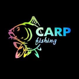 English Letters CARP Fishing PVC Vinyl Car Decals Stickers Waterproof Self-Adhesive Decals for Cars, Laptops, Trucks, Motorcycles Wall Window Luggage Scratch Cover Door Decor Sticker