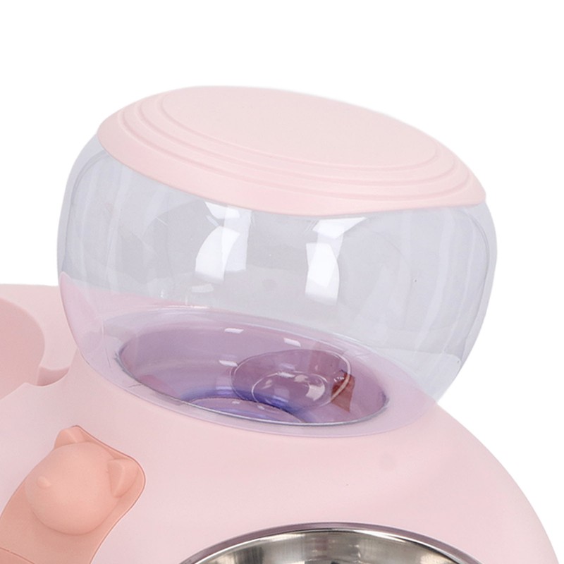 Double Cat Bowls Pet Food and Water Bowl Set Tilted